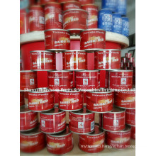 70g*100 18%-20% Canned Tomato Paste